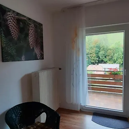 Steepleview House, Renchtalblick - Cozy & Serene For 2 Apartment